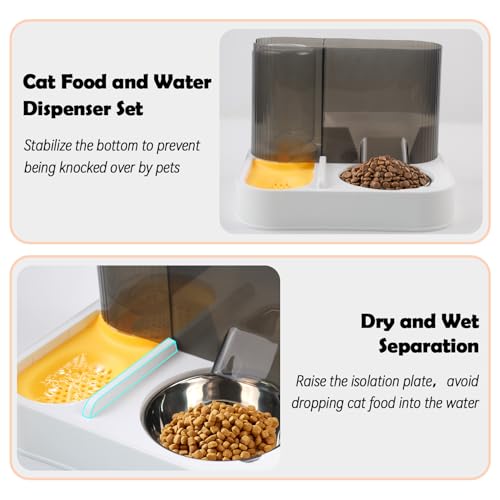 2 in 1 Automatic Cat Feeder and Water Dispenser Combo