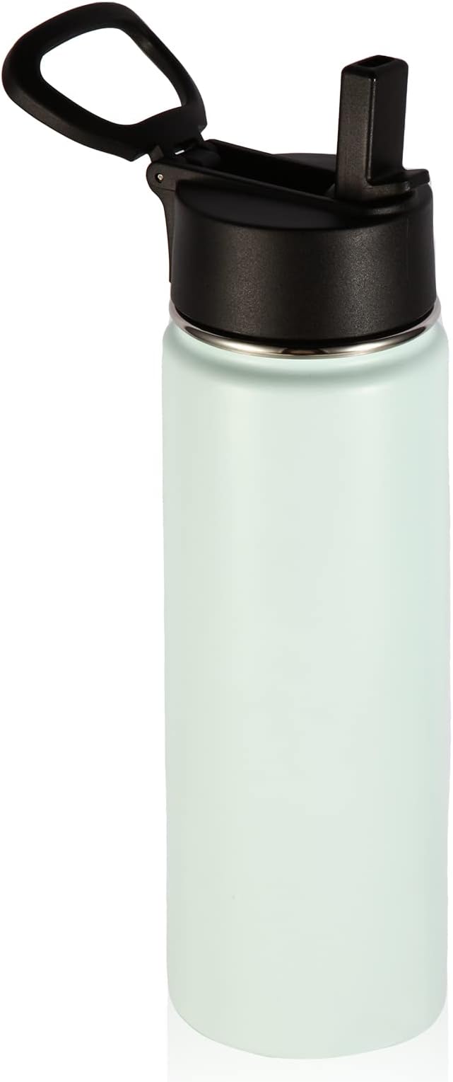 Volhoply 22 oz Insulated Water Bottles with Straw Lid, Stainless Steel Sports Bottle with Handle, Double Wall Vacuum Metal Water Cups Cup with Wide Mouth, Reusable Water Flask for School(Fog,1 Set)