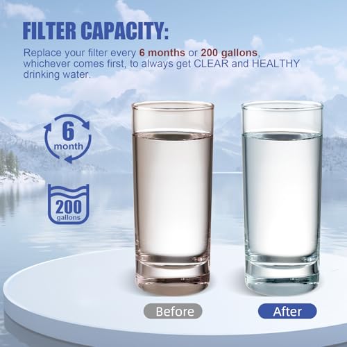 W10295370A Water Filter Replacement (2 Count)
