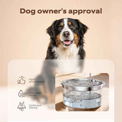 Dog Fountain Filter Replacement