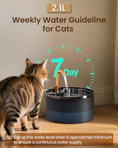 Cat Water Fountain with 6 (74 Fl Oz)