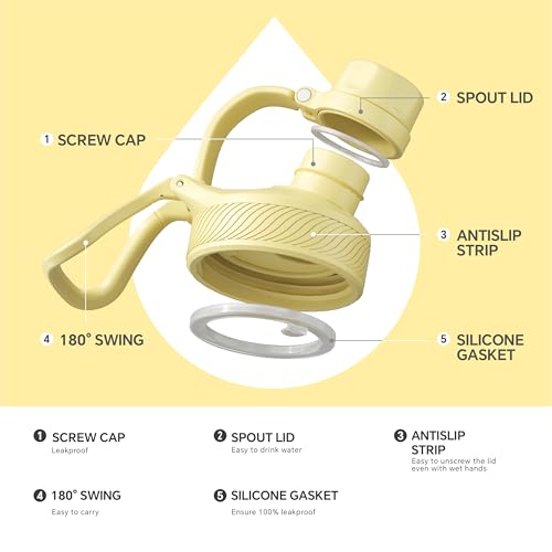 Insulated Water Bottle 12oz