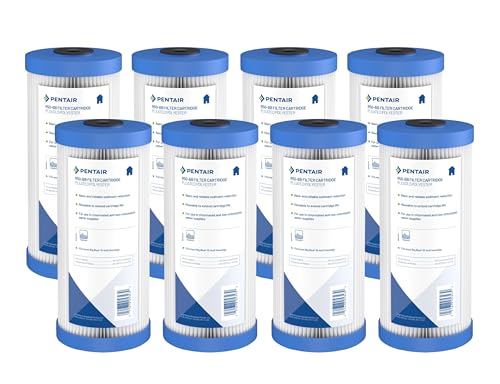 Pentair Pentek R50 (8 Count)