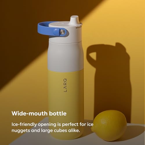 Swig Top Insulated Stainless Steel Water Bottle with Straw and Handle
