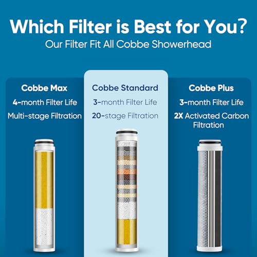 2 Pack Replacement Filters for Handheld Shower Head (2 Count)