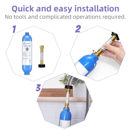 RV Water Filter with Hose Protector (2 Count)