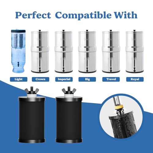 PF 1 Black Thickened Purification Elements (2 Count)