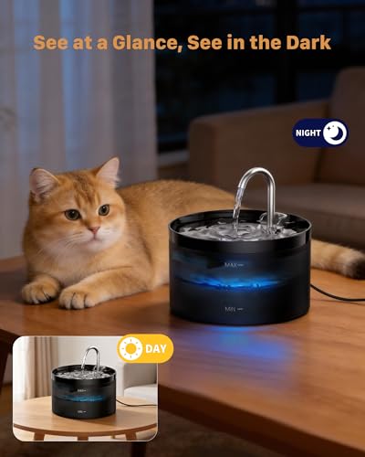 Cat Water Fountain