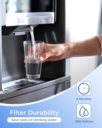 W10295370A Refrigerator Water Filter for 1RXD1 Compatible with Filter 1