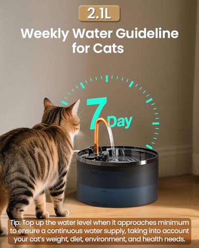 Cat Water Fountain with 3 (74 Fl Oz)