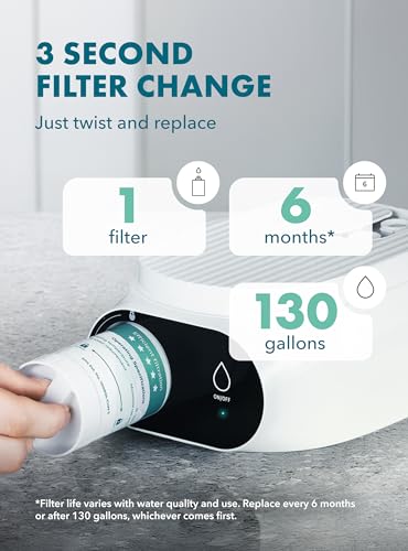 Compact Electric Water Filter Pitcher + Filter