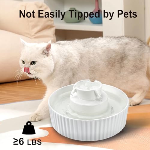 Ceramic Cat Water Fountain