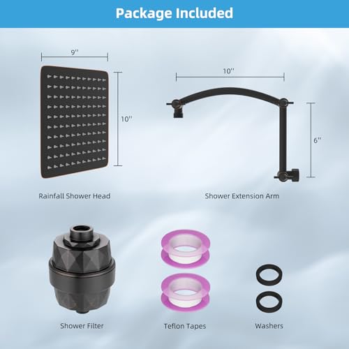 10'' Filtered Rain Shower Head