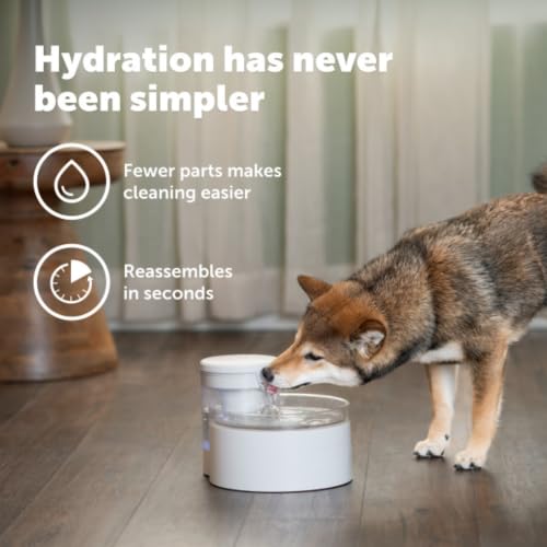 Outlast Pumpless Cat Water Fountain