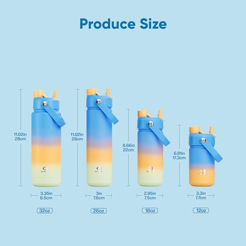 Insulated Water Bottle with Straw Stainless Steel Water Bottle