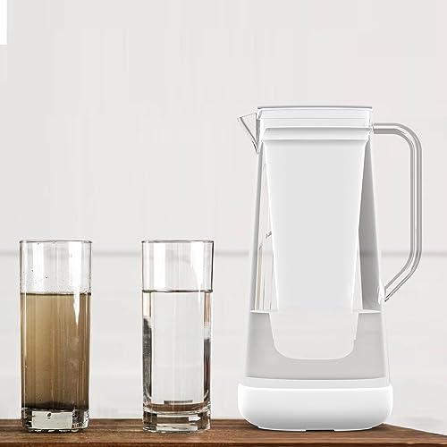 Pitcher Filters Compatible with LifeStraw