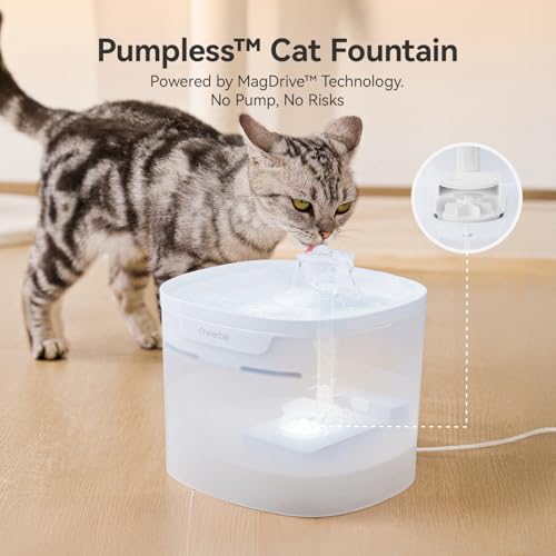 Pumpless Cat Water Fountain