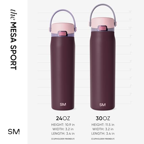 Insulated Sport Water Bottle with Chug Lid