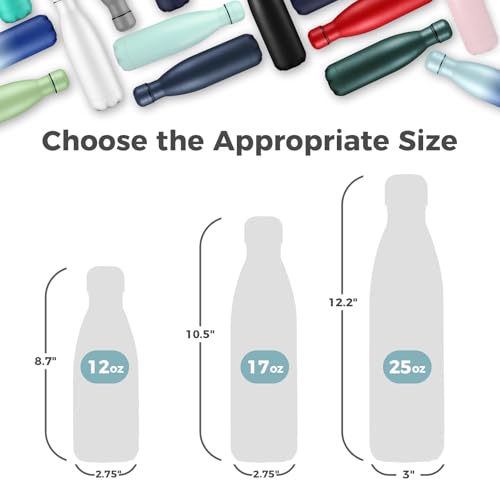 17oz Insulated Stainless Steel Water Bottle