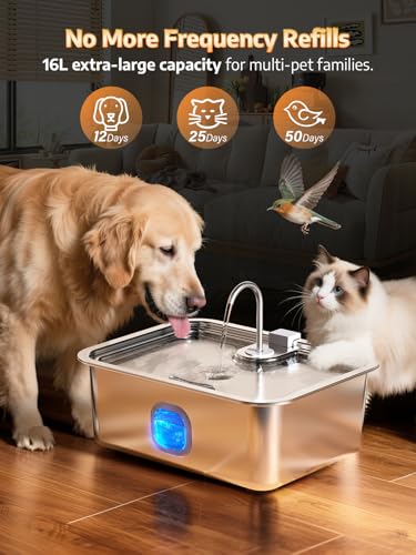 4.2Gal Dog Water Fountain for Large Dogs