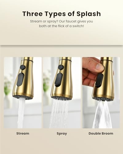 3 in 1 Kitchen Faucet with Pull Down Sprayer & Water Filter Spout