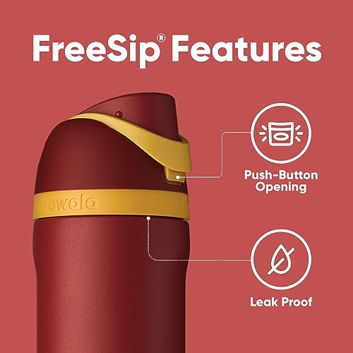 Harry Potter FreeSip Stainless Steel Water Bottle 24 oz Gryffindor