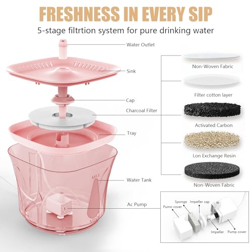 Cat Water Fountain