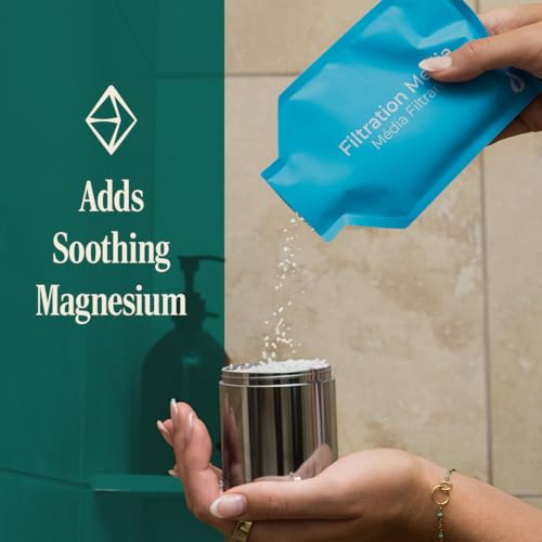 Refillable Showerhead Filter