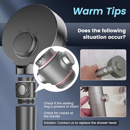 Filtered Shower Head with Handheld