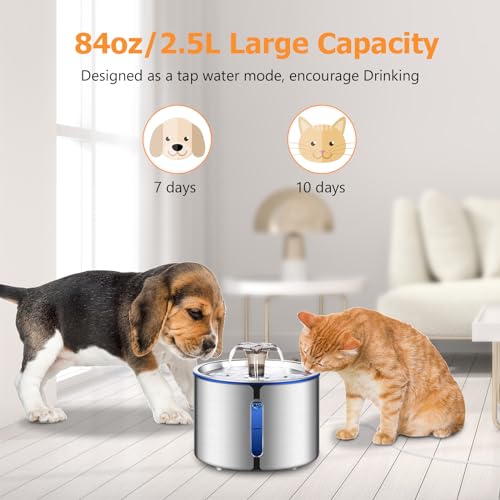 Cat Water Fountain