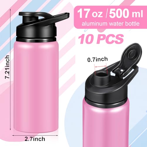 10 Pack Aluminum Water Bottles Bulk 17oz (10 Count)