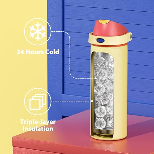 24 oz Insulated Water Bottle with Straw