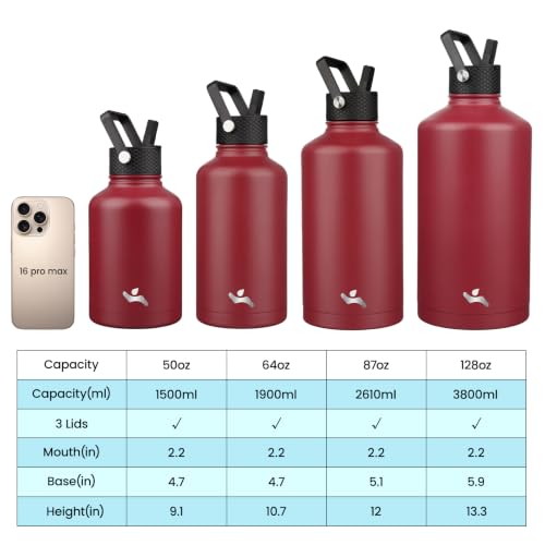 87 oz Insulated Stainless Steel Water Bottle Jug with Handle
