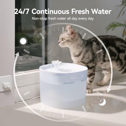 Pumpless Cat Water Fountain