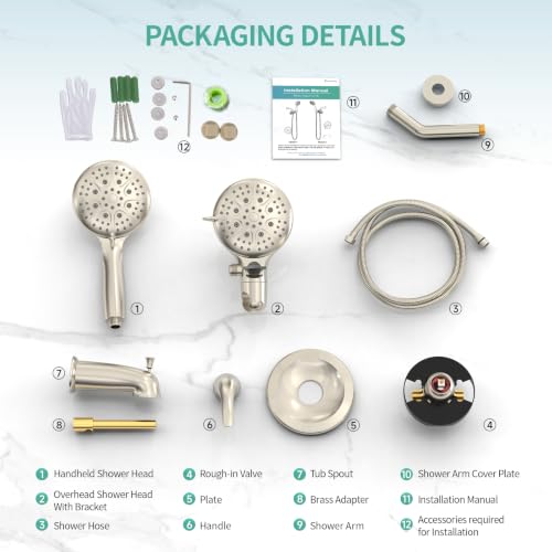 Dual 2 in 1 Shower System with Tub Spout (123.2 Ounce)