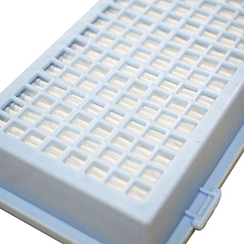 Miele SF AH30 HEPA Filter (2 Count)