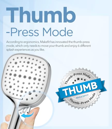 Filtered Shower Head with Handheld