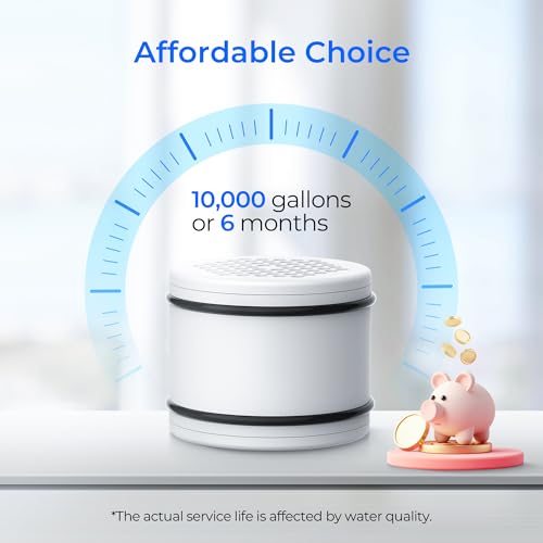 WHR 140 Shower Filter (3 Count)