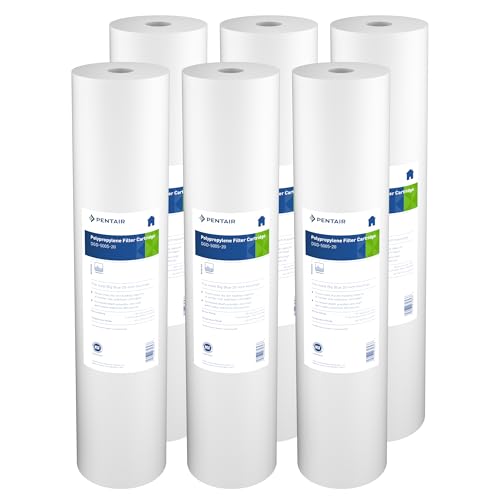 Pentair Pentek DGD (6 Count)