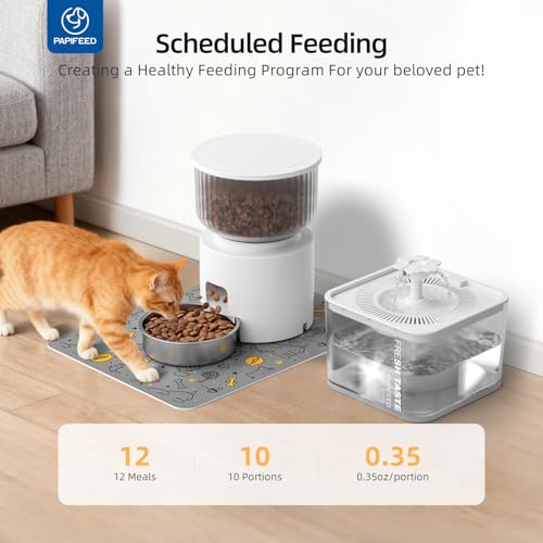 Automatic Cat Feeder and Water Fountain