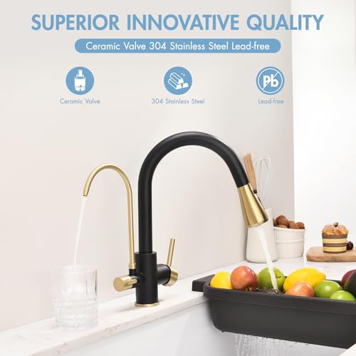 3 in 1 Kitchen Faucet with Water Filter and Pull Down Sprayer