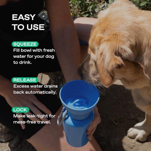 Springer Flip Dog Water Bottle