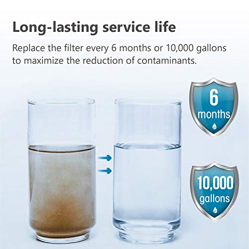 WHR 140 Shower Filter (2 Count)