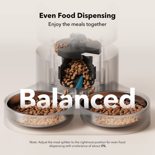 Automatic Cat Feeder