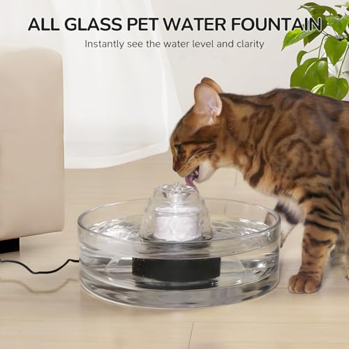 2.7L Glass Pet Fountain (92 Fl Oz)