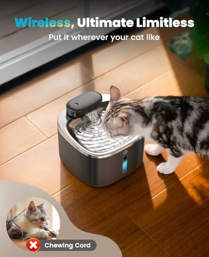 Cat Water Fountain