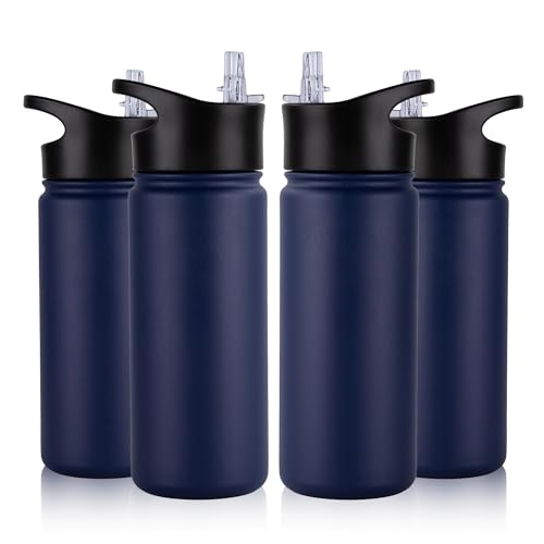 16 oz Insulated Water Bottle Bulk 4 Pack (4 Count)