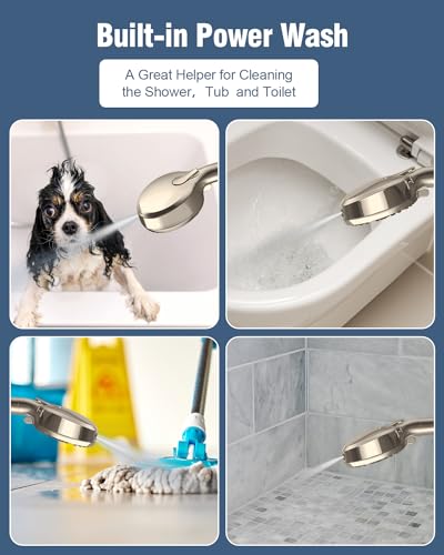 Filtered Shower Head with Handheld Brushed Nickel