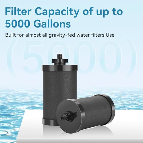 2 PCS 2387 Pro Replacement Water Filter Compatible with Alexapure