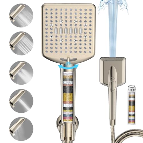 Filtered Shower Head with Handheld